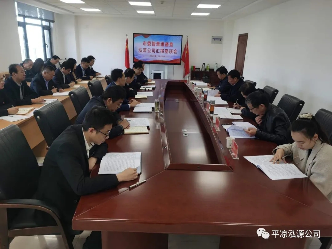 市委辦公室、市政府國資委督查泓源公司工作(圖4)