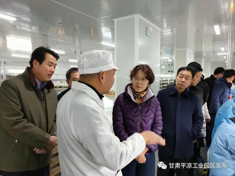 省市人大代表來(lái)平?jīng)龉I(yè)園區(qū)視察(圖2) 省市人大代表來(lái)平?jīng)龉I(yè)園區(qū)視察(圖2)
