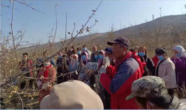 市產(chǎn)投集團(tuán)在靜寧幫扶村開展冬季果園管理培訓(xùn)(圖2) 市產(chǎn)投集團(tuán)在靜寧幫扶村開展冬季果園管理培訓(xùn)(圖2)